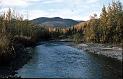 Creek in September